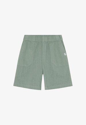 Groen gestreepte shorts met een elastische tailleband, voorzien van twee voorzakken en een klein stoffen label aan de zijkant. Lichtgewicht materiaal.