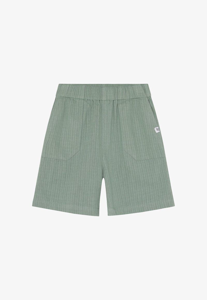 Shorts rayés verts avec une ceinture élastique, dotés de deux poches avant et d'une petite étiquette en tissu sur le côté. Matière légère.