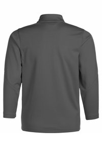 Graues Langarm-Polohemd mit hohem Kragen, aus glattem, dehnbarem Stoff gefertigt. Verfügt über flache Nähte und keine sichtbaren Logos oder Muster.