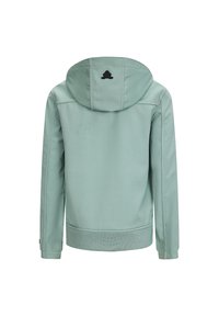 Lichtgroene hoodie met een gladde textuur, ribbelboord en een zwart logo-accent op de achterkant. Heeft lange mouwen en een aansluitend design.