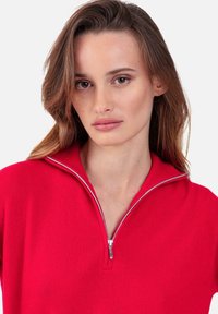 Pull rouge à fermeture éclair avec un col montant, fabriqué en matériau doux. Comprend une fermeture éclair argentée et une texture côtelée près du col et de l'ourlet.