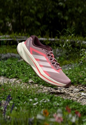Ανοιχτό μωβ και ροζ παπούτσι τρεξίματος Adidas Terrex κρεμασμένο πάνω από ένα πετρώδες μονοπάτι με πράσινη βλάστηση και αγριολούλουδα γύρω του.