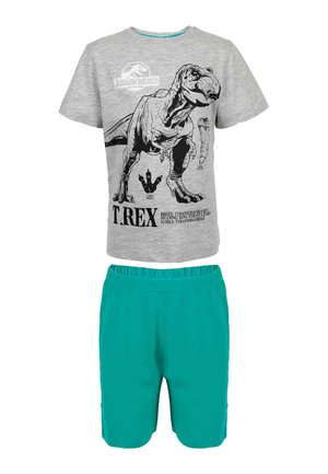 SET - Pyjama set - grau