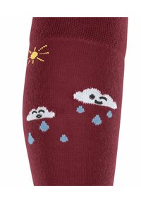 FALKE Active Rainboot - Kniekousen - ruby