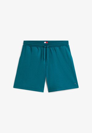 Tommy Jeans, FLAG DRAWSTRING - Shorts - polar teal