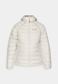 POWDER LITE™ HOODED JACKET - Giacca invernale - dark stone