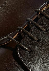Primo piano di una scarpa in pelle marrone, caratterizzata da una superficie liscia, cuciture in evidenza e lacci scuri infilati attraverso le asole.