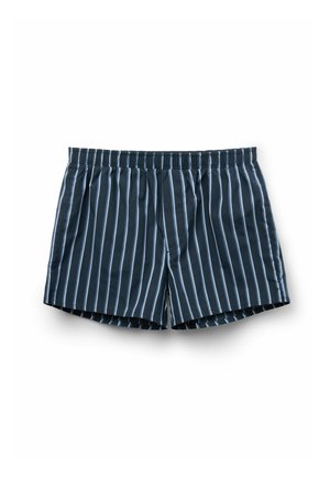 Shorts rayés bleu marine avec des rayures verticales bleu clair, taille élastique et coupe décontractée. Fabriqués en tissu léger.