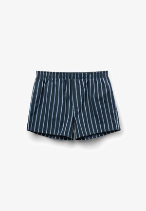 Shorts a rayas azul marino con rayas verticales azul claro, cinturilla elástica y un ajuste relajado. Hechos de un tejido ligero.