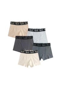 Next 5 PACK  - Onderbroeken - neutral multi colour