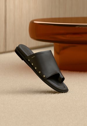 COLWYN FLAT TOE LOOP - Sandalias de dedo - black