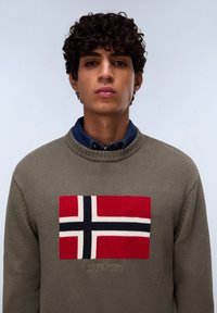 Olivengrüner Strickpullover mit einem roten Design der norwegischen Flagge auf der Vorderseite, verziert mit weißen und blauen Akzenten sowie einem gerippten Rundhalsausschnitt.