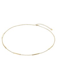 Zelta ķēdes kaklarota ar mazām cilindriskām akcentiem, kas vienmērīgi izvietoti gar delikātu ķēdi, ar regulējamu aizdari, kas nodrošina uzmavaizs iespējas.