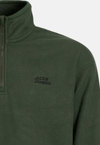 Pullover in pile verde con colletto alto, caratterizzato da una mezza zip frontale e logo ricamato in nero sul lato sinistro del petto. Texture morbida, vestibilità casual.
