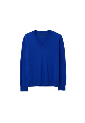 Maglione a maniche lunghe con scollo a V di un brillante blu, realizzato in materiale morbido con polsini e orlo a costine, caratterizzato da un design minimalista e privo di fantasie.