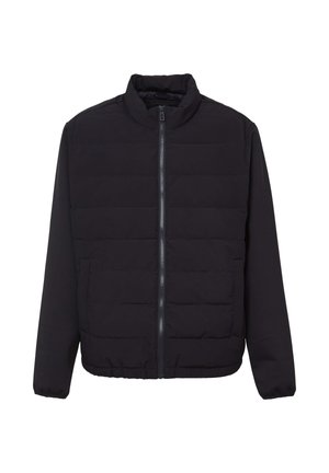 Schwarze gesteppte Jacke mit durchgehendem Reißverschluss, Stehkragen, langen Ärmeln und seitlichen Taschen, auf einem weißen Hintergrund dargestellt.