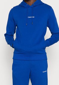 Blauwe katoenen hoodie met een kangeroezak aan de voorkant, verstelbare aantrekkoorden en het witte geborduurde Calvin Klein-logo op de borst.
