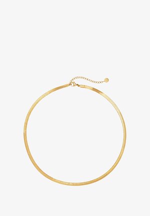 Collana choker in rete dorata con un design piatto e flessibile. Presenta un'estensione a catena per una lunghezza regolabile. Texture liscia, look minimalista.