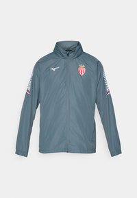 Grau Windbreaker-Jacke mit hohem Kragen, verfügt über ein Logo auf der Brust und gestreifte Akzente an den Ärmeln. Leichtes, schlankes Design.