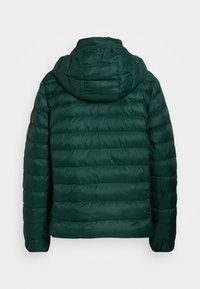 Veste matelassée verte avec capuche, présentant des sections quiltées et un extérieur en nylon lisse et brillant. Fermeture zippée et poignets élastiques.