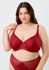 Punainen rintaliivi, jossa on sileä pinta, tukevat langat, leveät hihnat ja verkkotiedot. Yhdistetty yhteensopivaan korkeavyötäröiseen läpinäkyvään alushousuun.