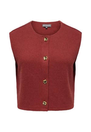 ONLY Carmakoma CARVICKI - Jopica - spiced apple