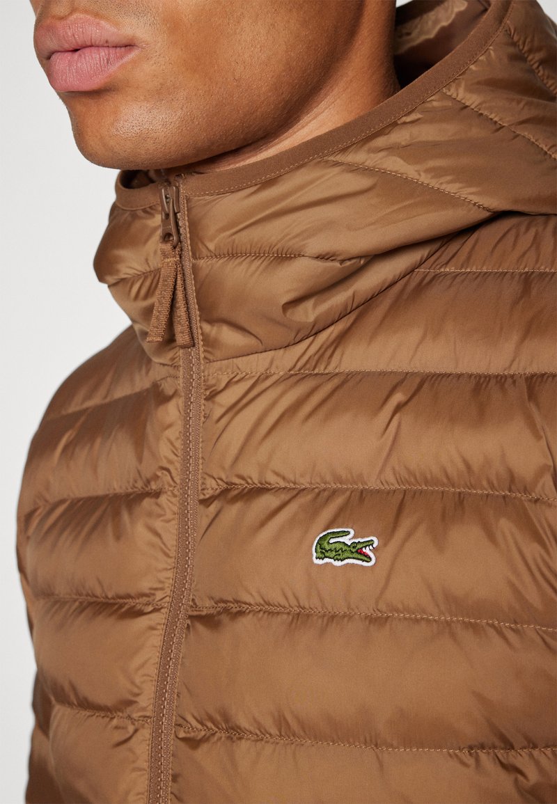 Giacca a vento marrone con texture trapuntata, colletto alto e chiusura con zip. Presenta un logo di coccodrillo ricamato verde e bianco sul lato sinistro del petto.