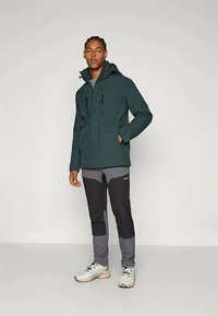 Icepeak ALSTON - Μπουφάν εξωτερικού χώρου - dark green