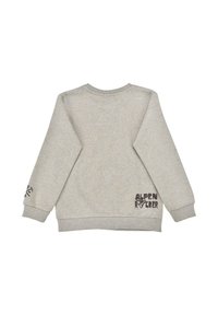 Grauer Hoodie mit langen Ärmeln, geripptem Halsausschnitt und Bündchen, sowie einem gedruckten Logo im unteren Rückenbereich und am linken Ärmel. Weiche Textur.