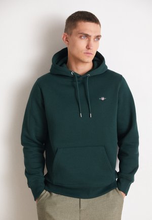 REG SHIELD  - Kapuzenpullover - tartan green