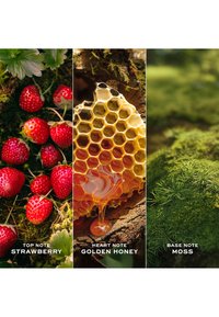 Miniatuurafbeelding 4