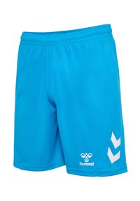 Blå idrottsshorts i slät tyg, med elastisk midja och vitt logotyp med snedställda detaljer på sidan.