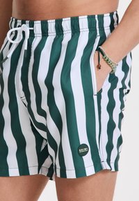 Grün-weiße gestreifte Badehose mit elastischem Bund und Kordelzug. Enthält Seitentaschen und ein kleines Logopatch.