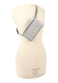 Sac bandoulière argenté texturé avec fermoir doré présenté sur un buste de mannequin beige sur fond blanc.