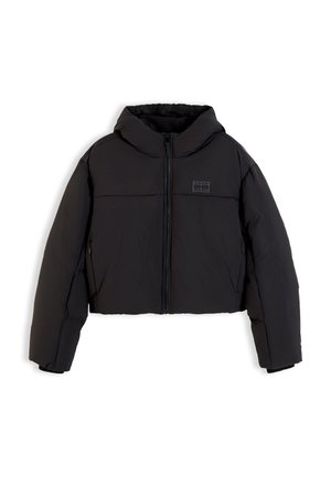 Tommy Jeans, HOODED FLAG PUFFER - Veste d'hiver - black