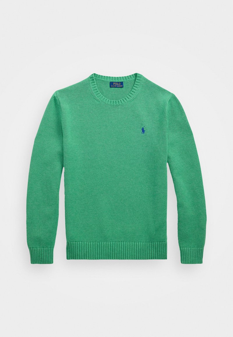 Grüner Strickpullover mit Rundhalsausschnitt, gerippten Bündchen und Saum, mit einem kleinen blauen Logo auf der Brust. Hergestellt aus leichtem Material.