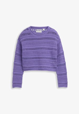 Maglione corto viola a maniche lunghe in maglia con strisce orizzontali traforate, scollo rotondo e etichetta in cotone biologico all'interno del colletto.
