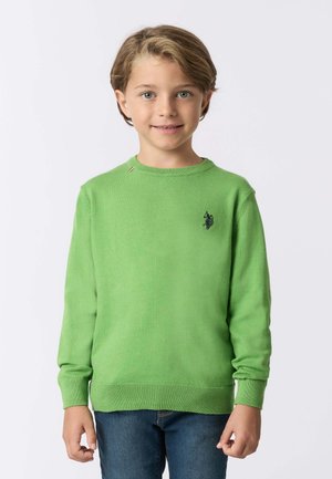 Maglione verde lavorato a maglia con scollatura a girocollo, maniche lunghe e orlo a costine. Presenta un logo discreto sul petto e un piccolo accento vicino alla spalla.