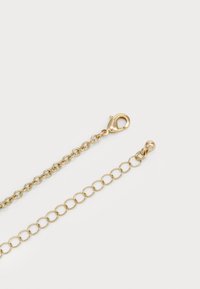 Gold chain necklace close-up showing lobster clasp and adjustable round link extension on a white background.