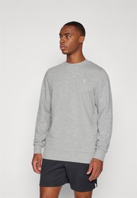 Hellgrauer Sweatshirt mit langen Ärmeln, rundem Halsausschnitt, gerippten Bündchen und einem kleinen Logoakzent auf der Brust. Hautschmeichelnder Baumwollmischstoff.