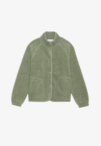 Неизбран, green