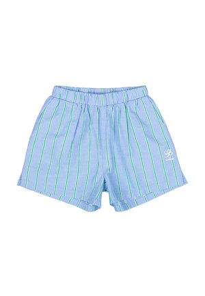 Blauwe korte broek met verticale groene strepen, elastische tailleband en een wit logo aan de voorkant links. Gemaakt van lichtgewicht stof.