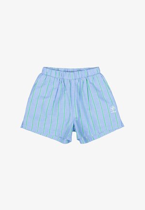 Blauwe korte broek met verticale groene strepen, elastische tailleband en een wit logo aan de voorkant links. Gemaakt van lichtgewicht stof.