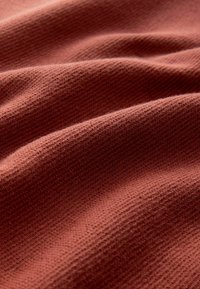 Next ZIP NECK REGULAR FIT - Vesta - burnt clay red