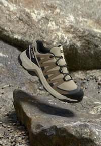 Valgt, eucalyptus/asphalt/bog
