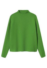 Grüner Pullover mit langen Ärmeln und hohem Kragen, gefertigt aus einem glatten Strickstoff, mit lockerer Silhouette und minimalistischen Details.