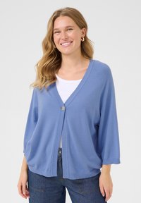 Cardigan léger bleu avec des manches longues et amples, décolleté en V et une fermeture à un bouton. Texture douce et finition côtelée aux poignets et à l'ourlet.