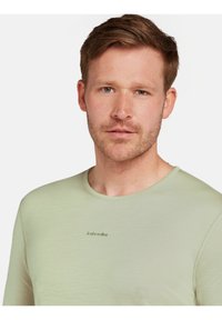 Junger Mann mit hellbraunem Haar und Bart, der ein hellgrünes Rundhals-Shirt mit dem Schriftzug "icebreaker" auf der Brust trägt und nach vorne schaut.
