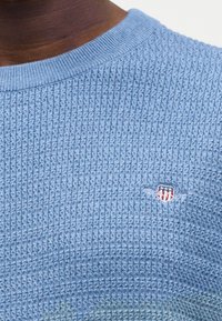 Κλείσιμο εικόνας ενός ατόμου που φοράει ένα ελαφρώς μπλε πλεκτό πουλόβερ με μικρό κεντητό κόκκινο, λευκό και μπλε σήμα ασπίδας στο στήθος.