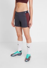 Puma Pantalón corto de deporte - grey